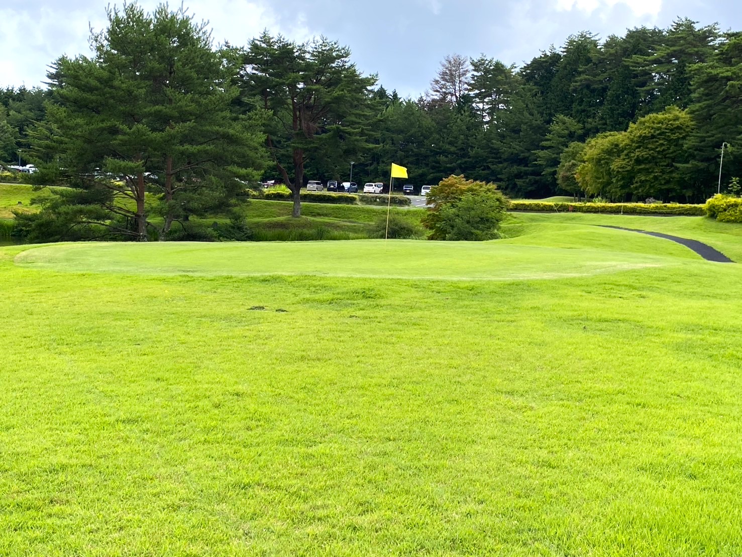 Nyu Adonis Golf Club - 4