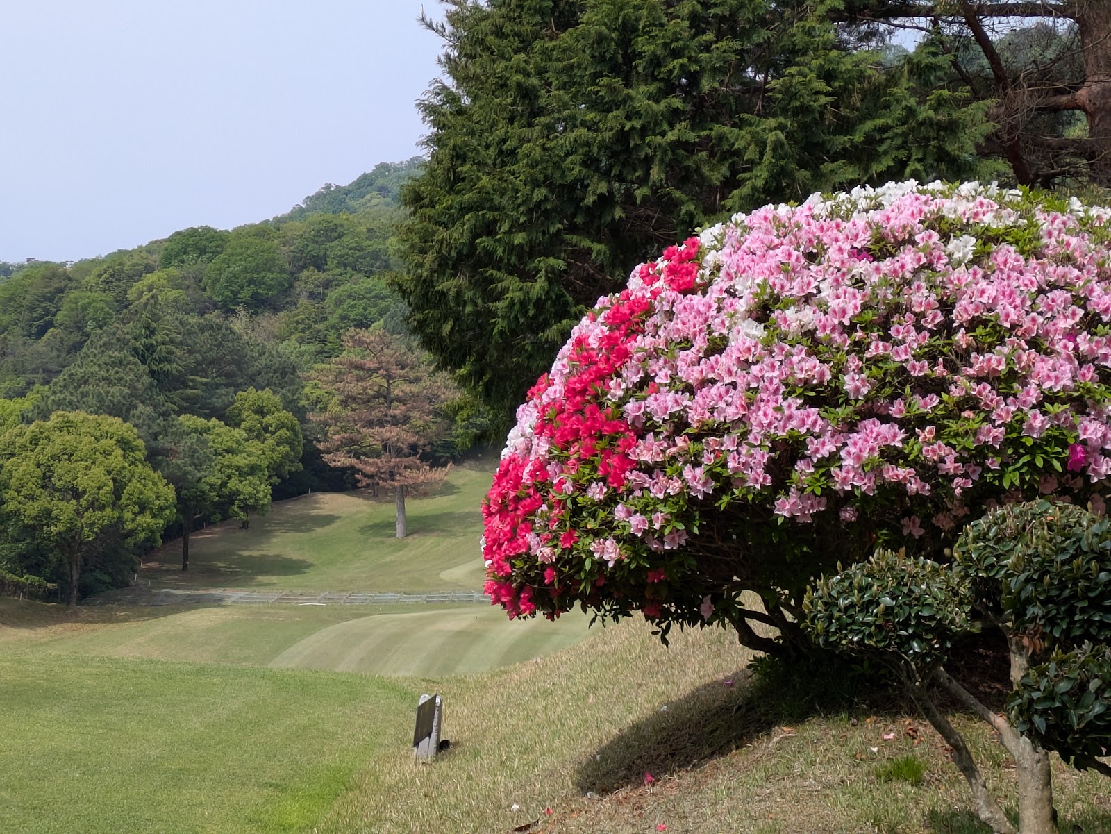 Senogawa Country Club - 4