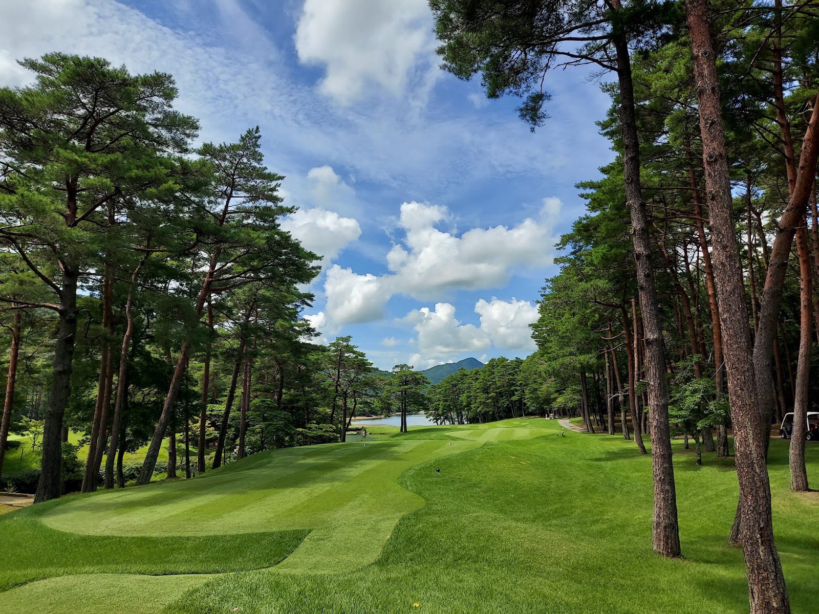 Pine Lake Golf Club