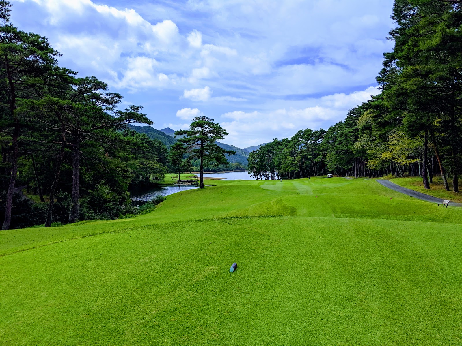 Pine Lake Golf Club - 2