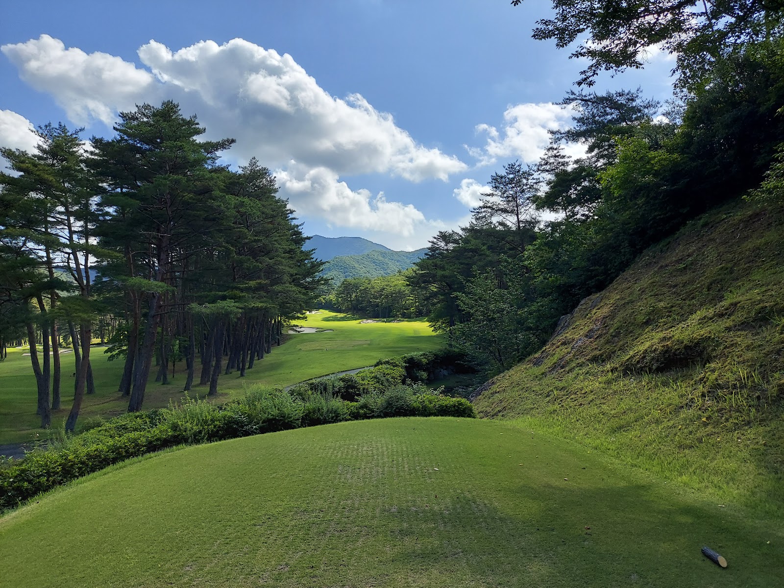 Pine Lake Golf Club - 6