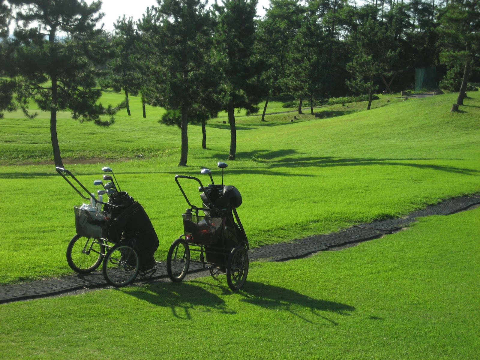 Kashiwazaki Seaside Golf Club - 2
