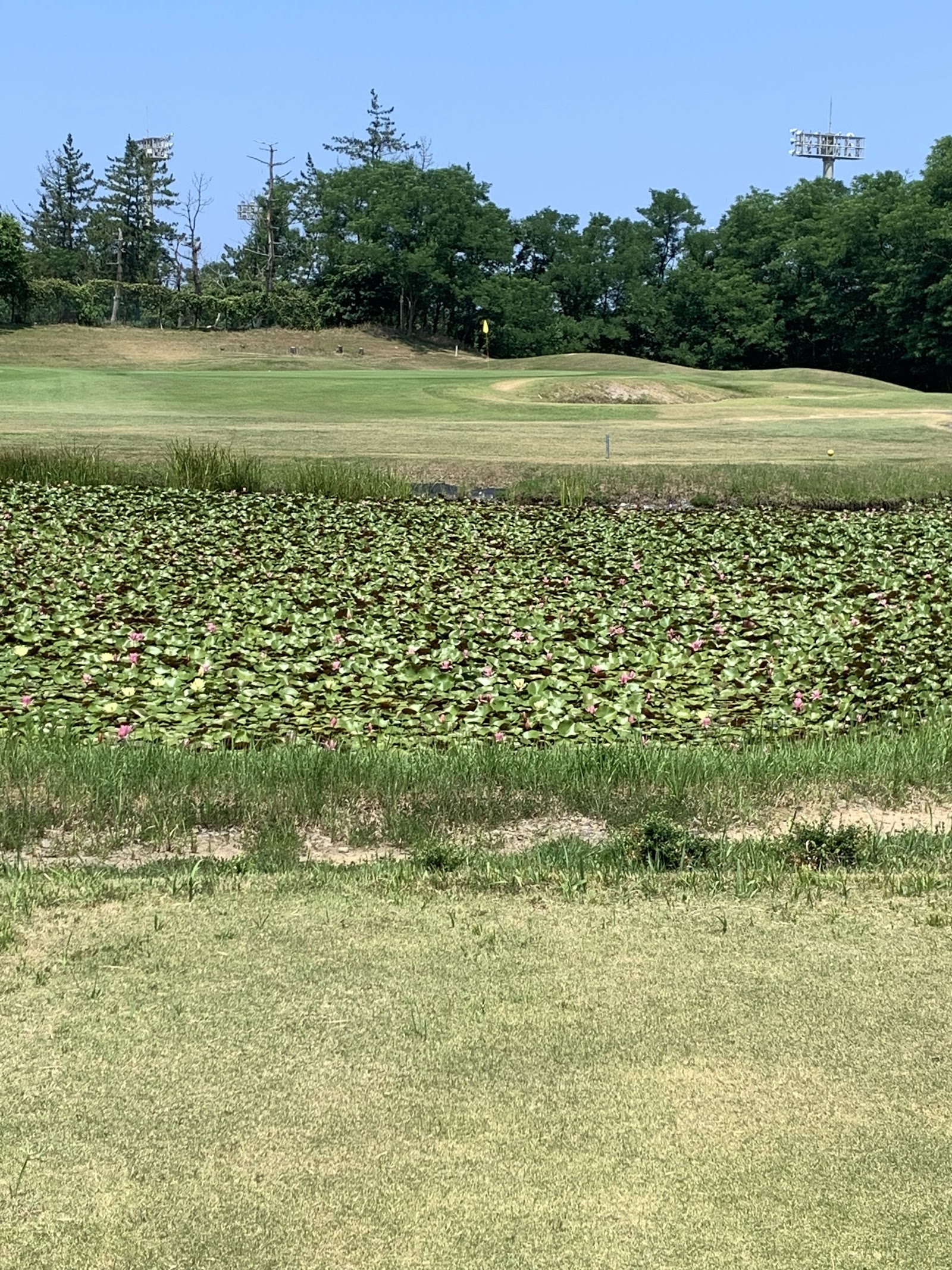 Kashiwazaki Seaside Golf Club - 3