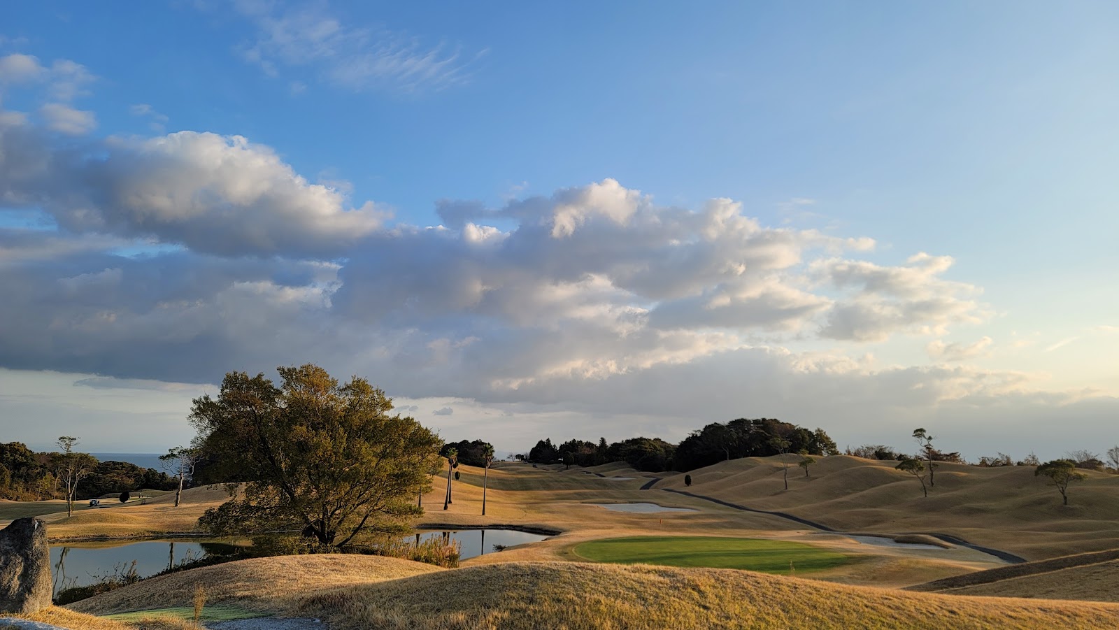 Pacific Blue Country Club - 5