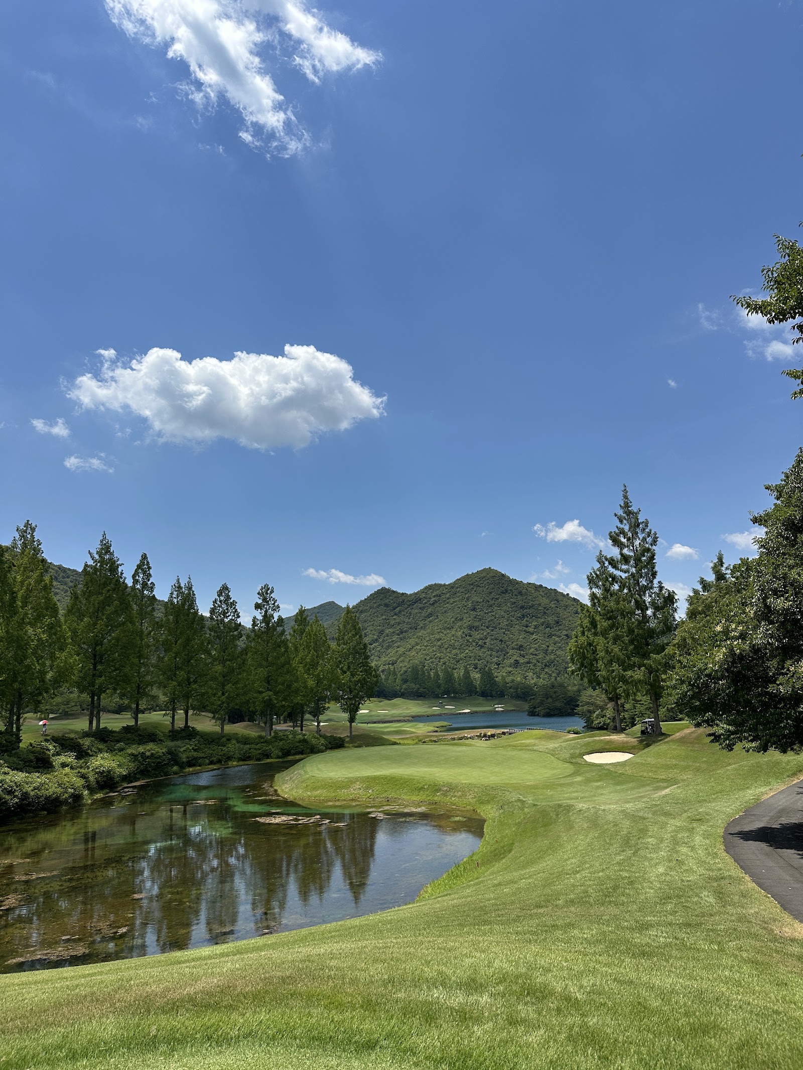 Golden Valley Golf Club - 6