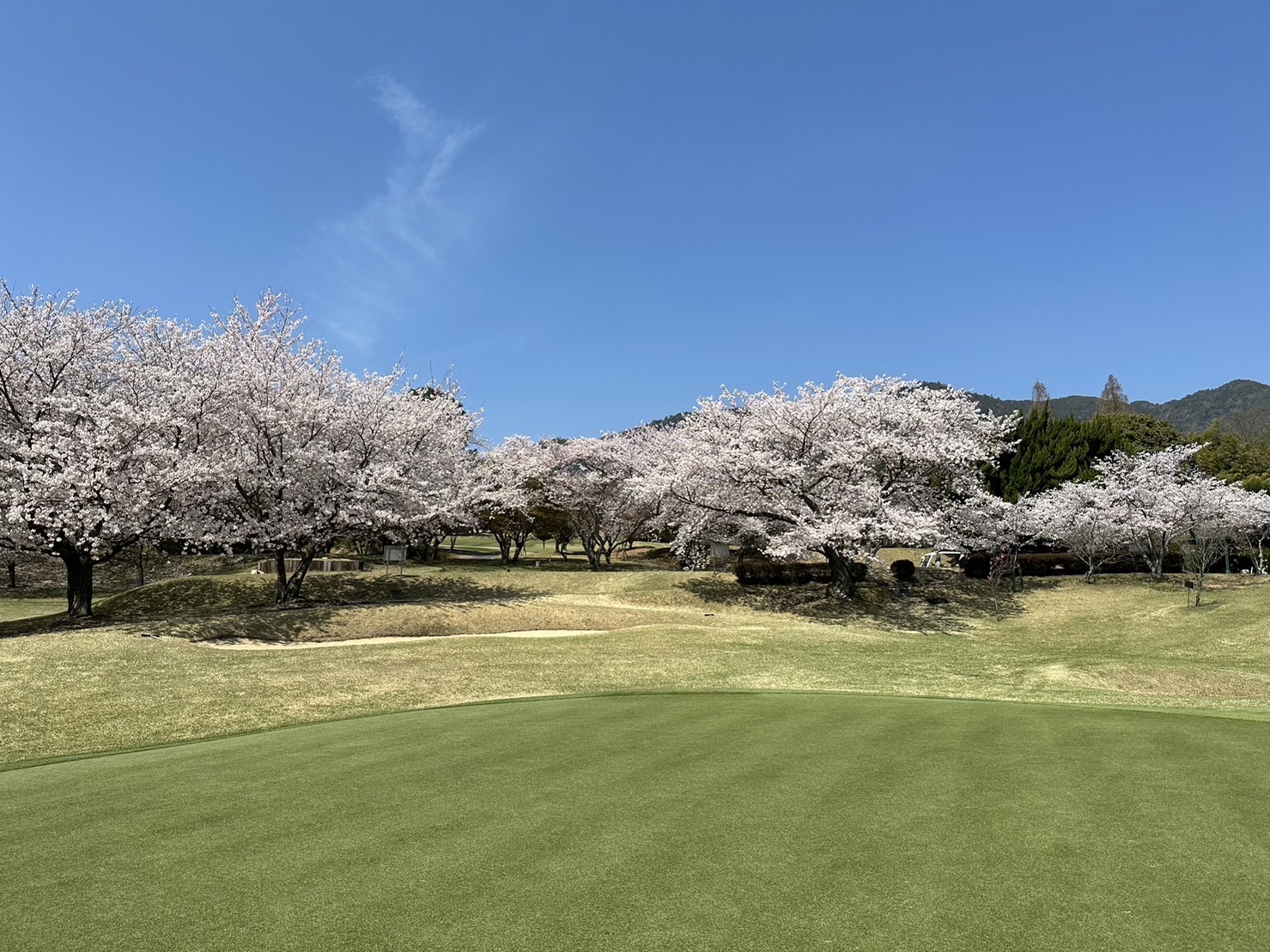 Miyajima Country Club - 2