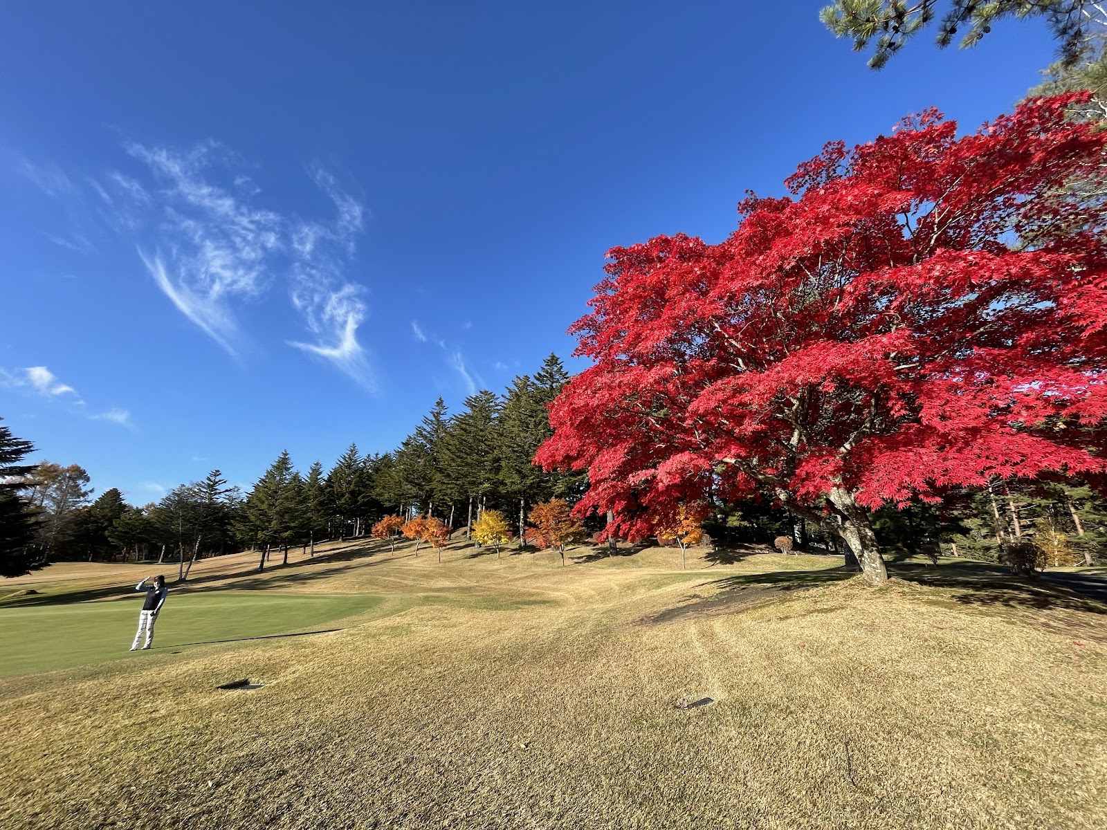 Tateshina Country Club - 2
