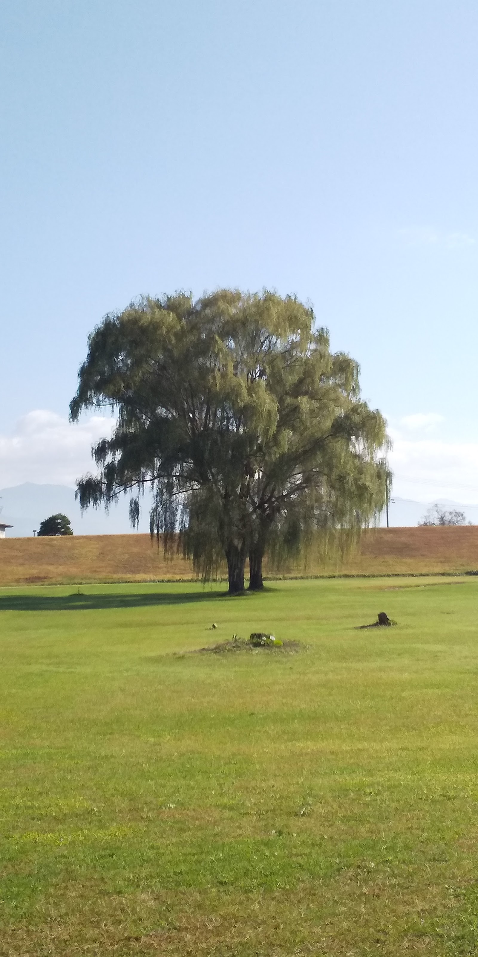 Kahoku Town Golf Course - 6