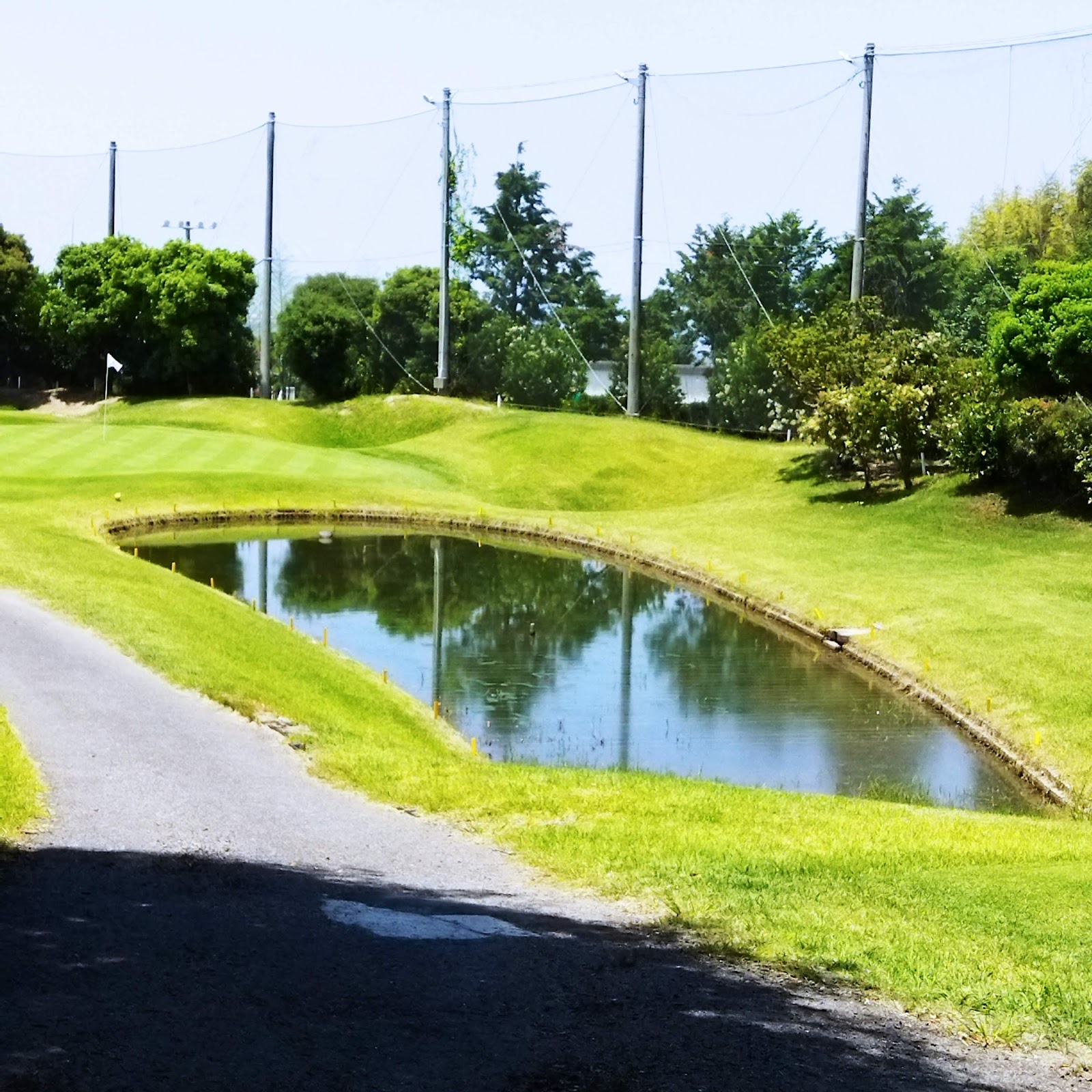 Airport Hill Country Club - 4