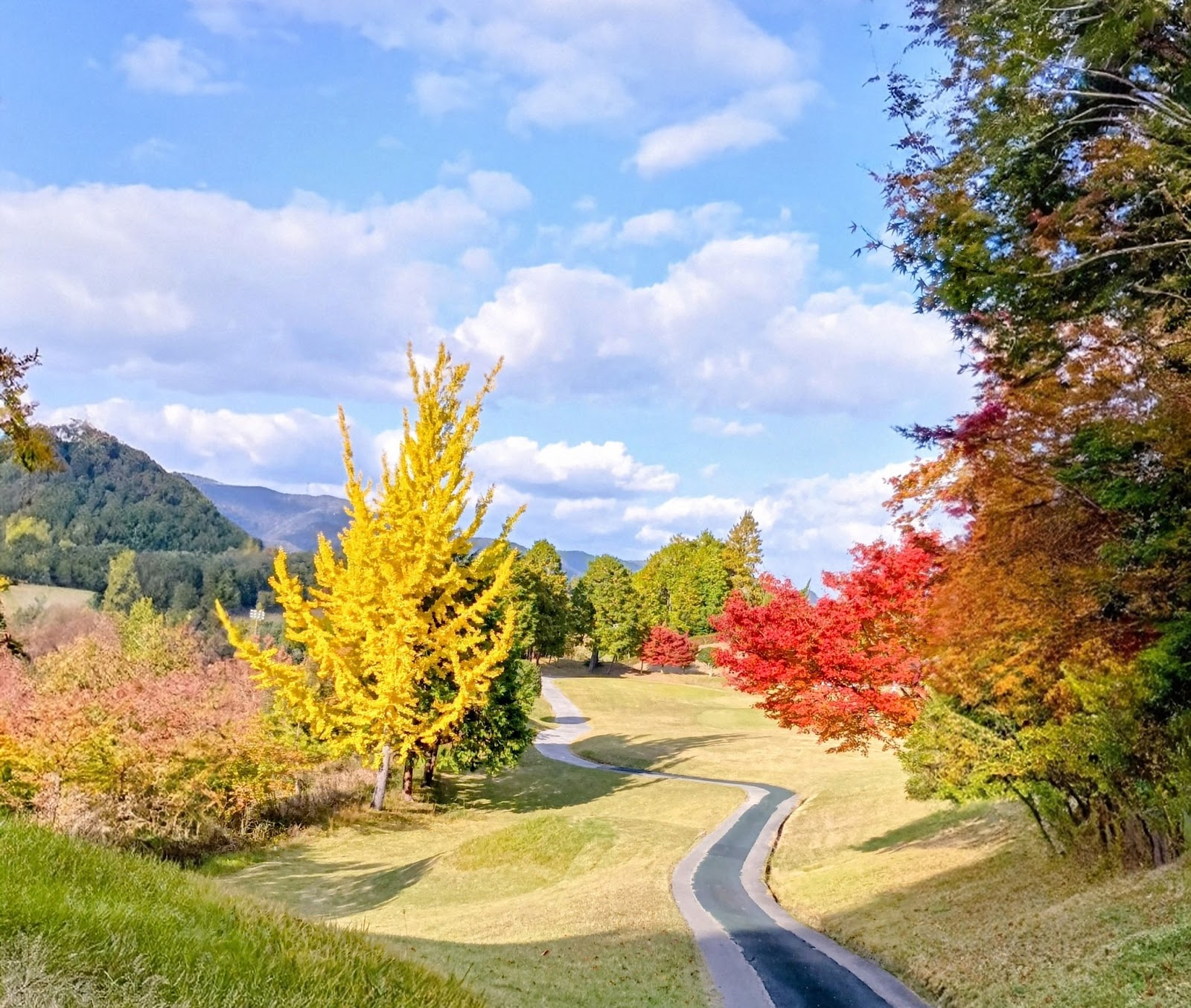 Himejiaioi Country Club - 6
