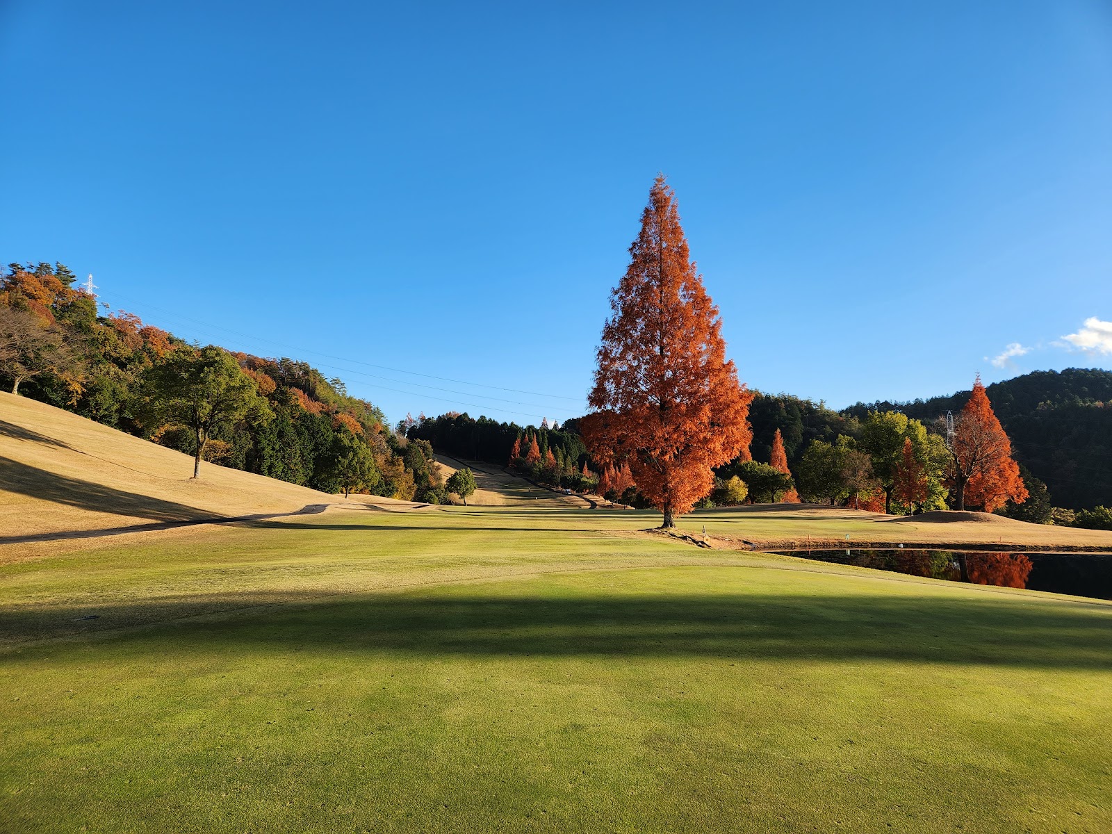 Sun Classic Golf Club - 2