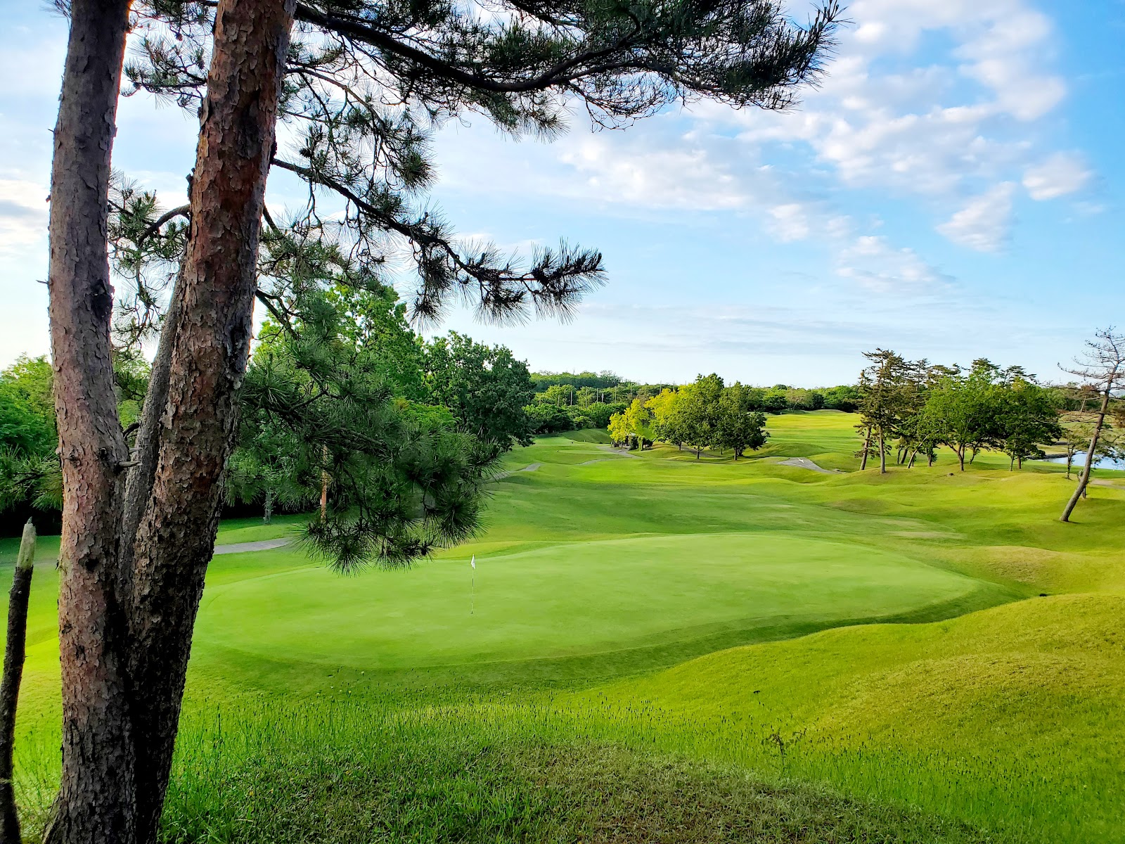 Yoneyamasuigen Country Club - 2