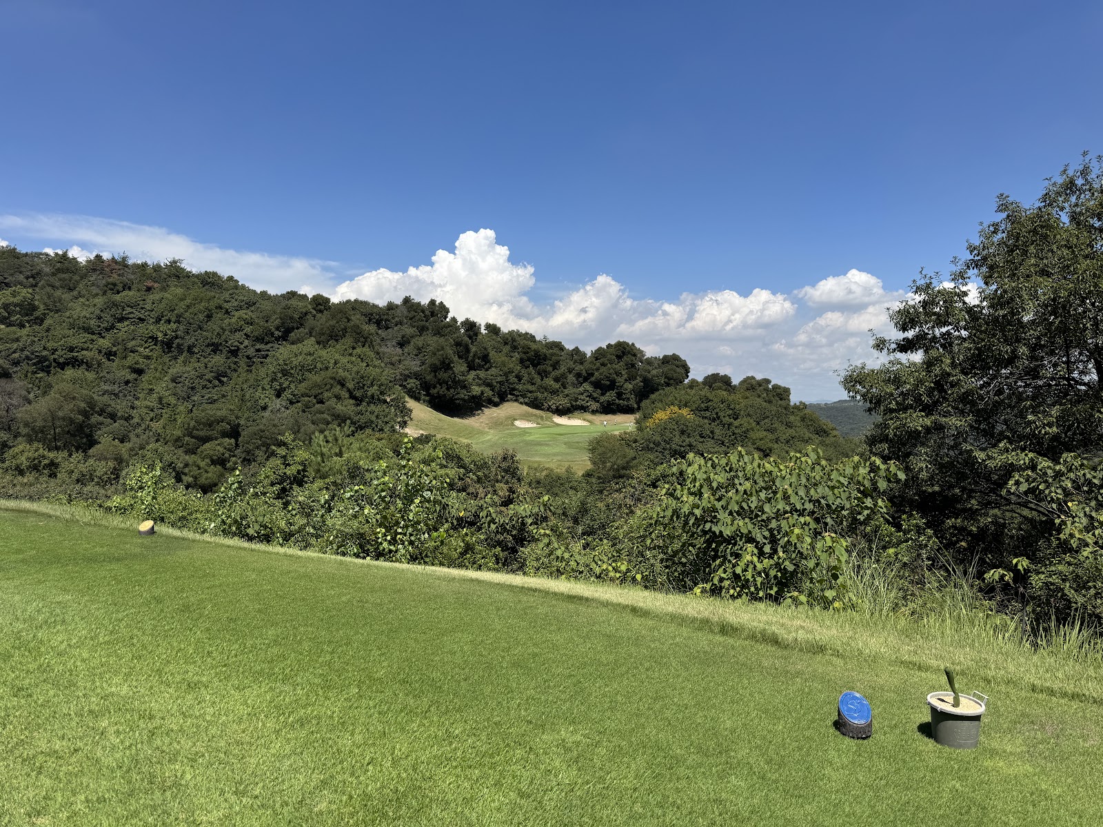 Washu Golf Club