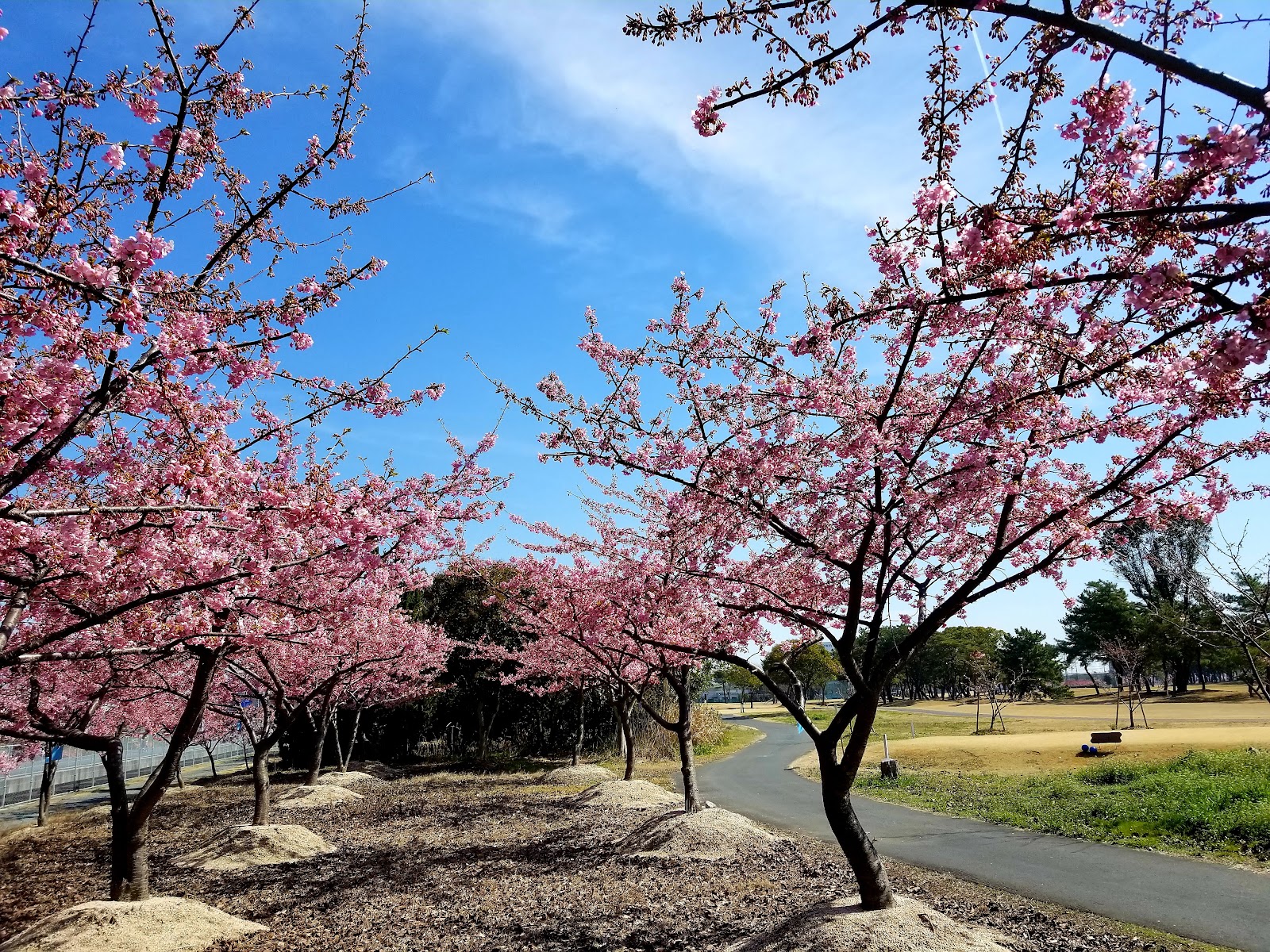 Flower corridor Golf Course