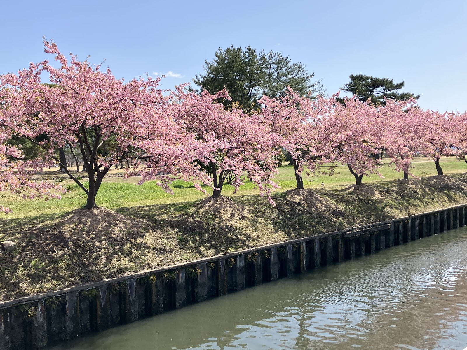 Flower corridor Golf Course - 5
