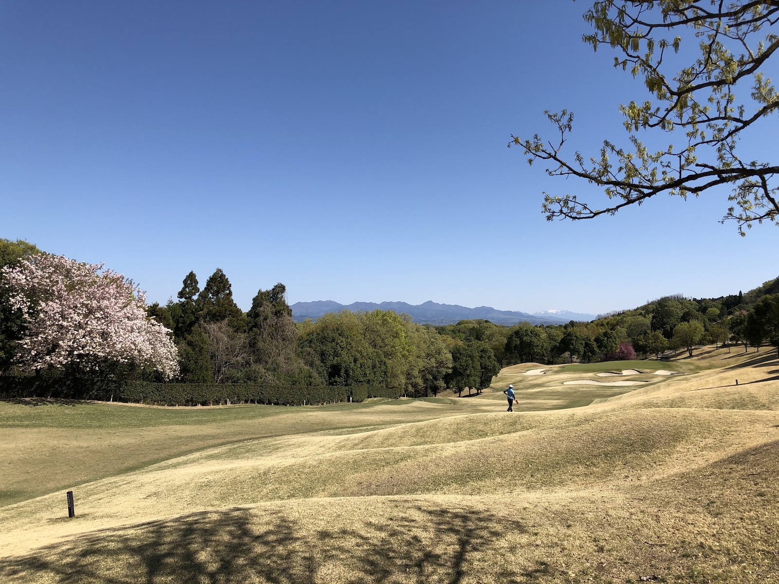 Shimonita Country Club - 3
