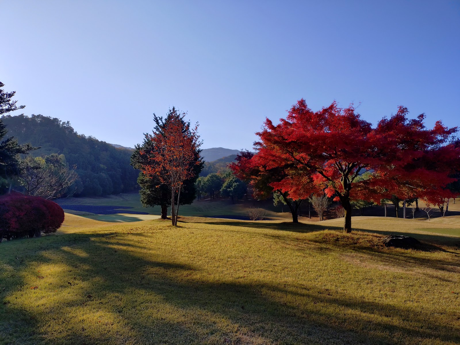 Shimonita Country Club - 5