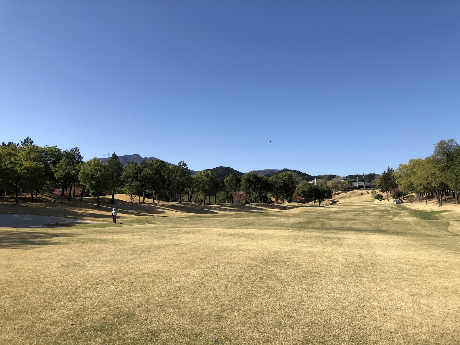 Shimonita Country Club - 6