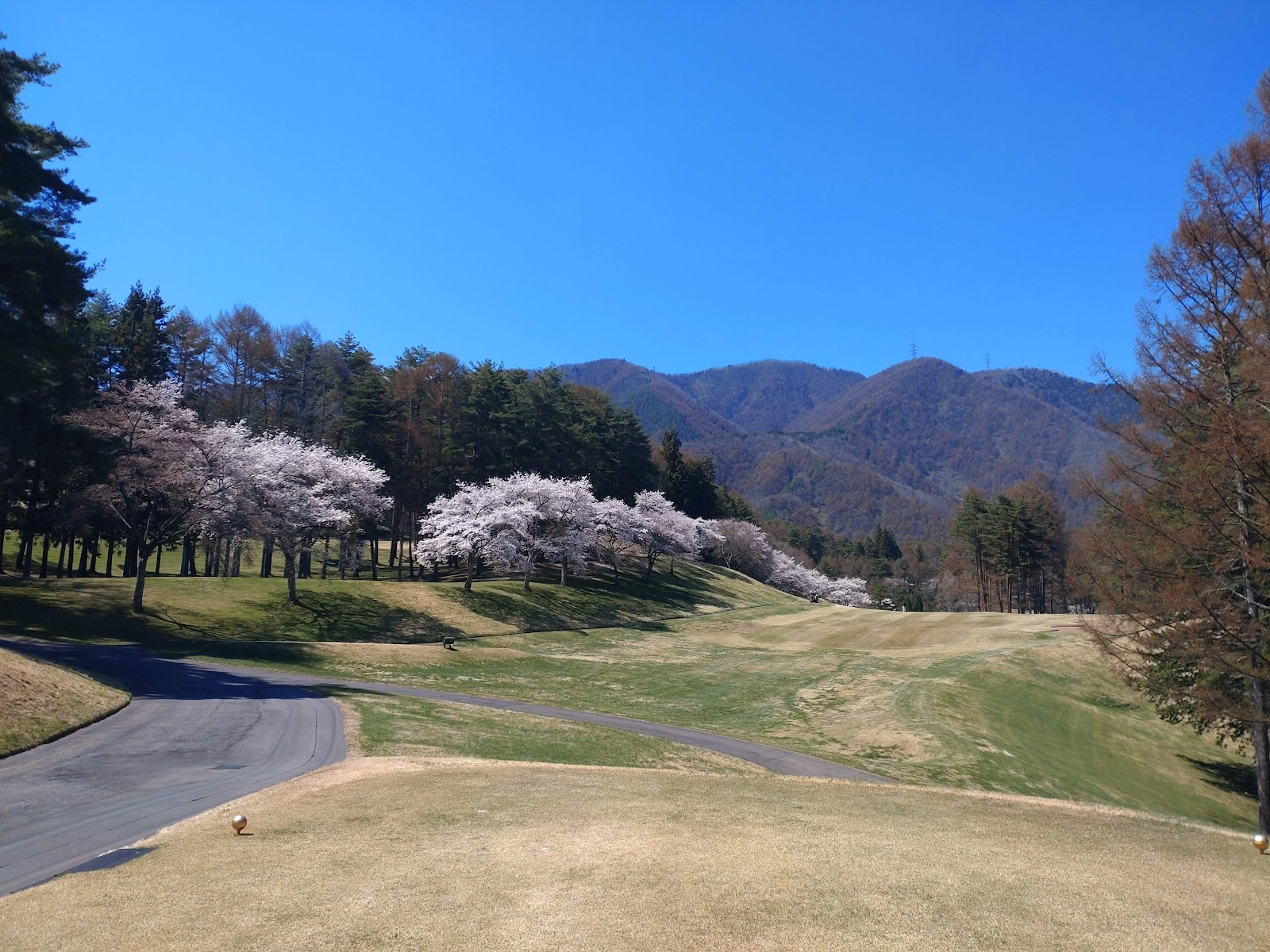 Azumino Country Club - 4