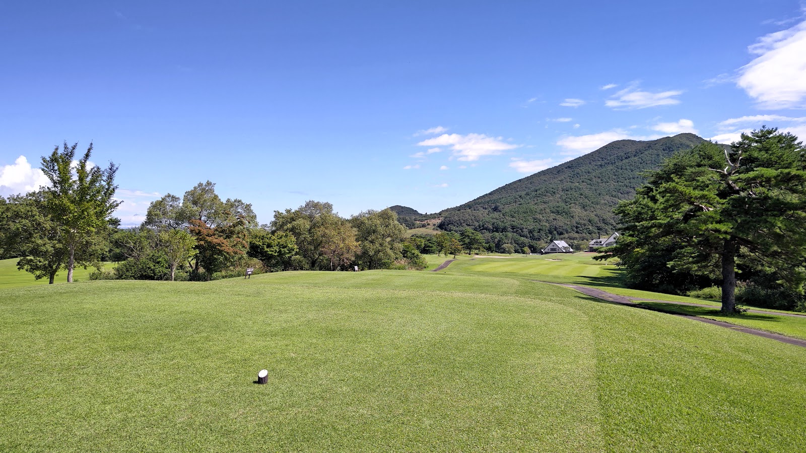 Yakurai Size Golf Club