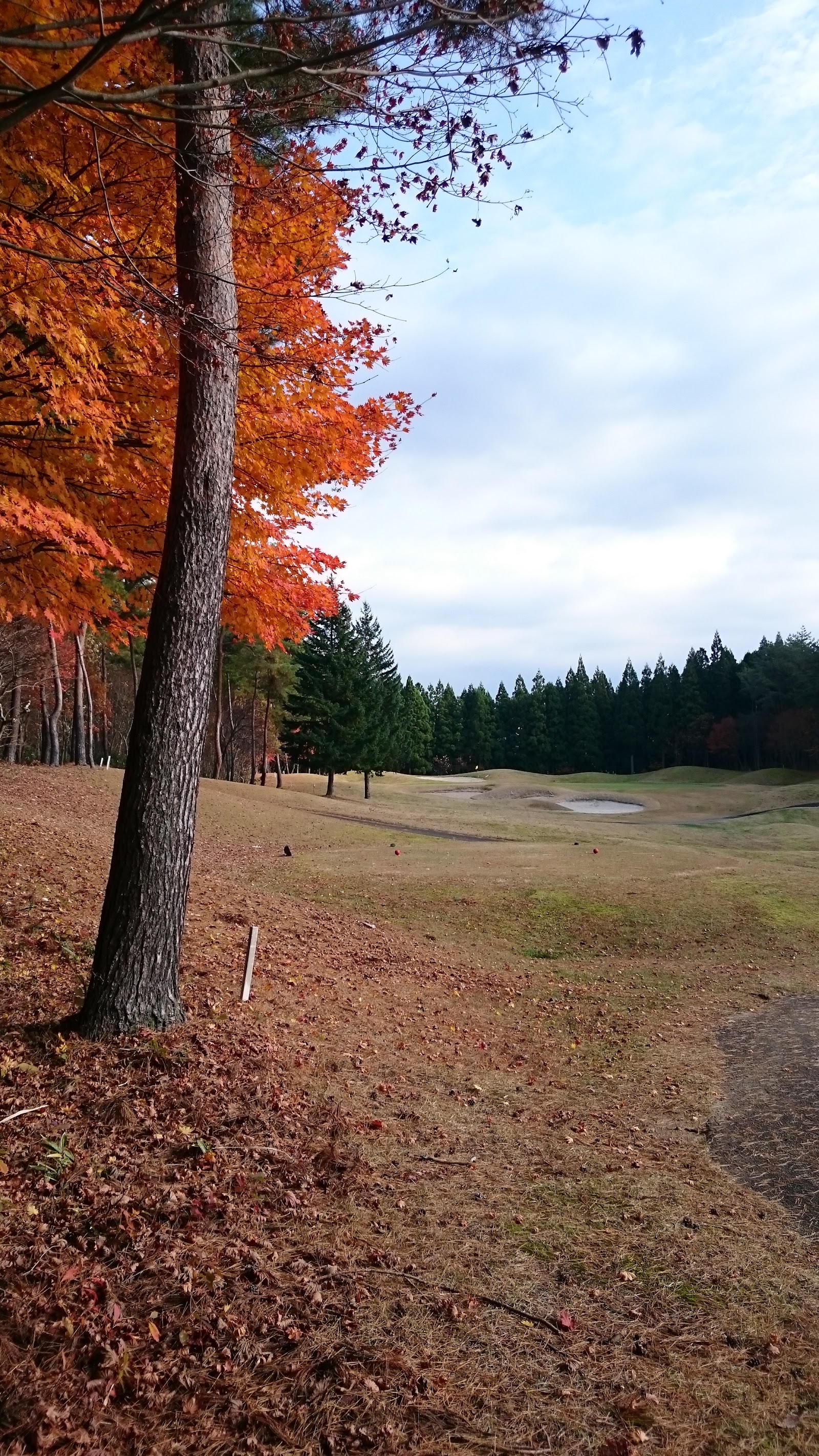 Royal Century Golf Club - 5