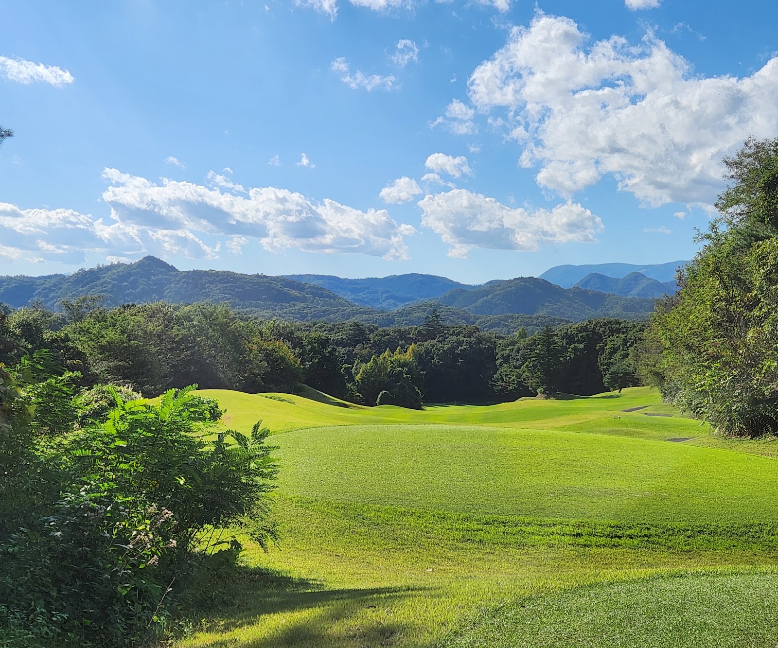 Taiwa Golf Club