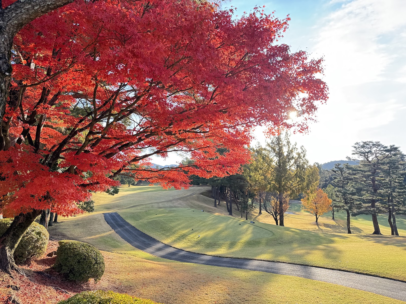 Gifu Country Club - 3
