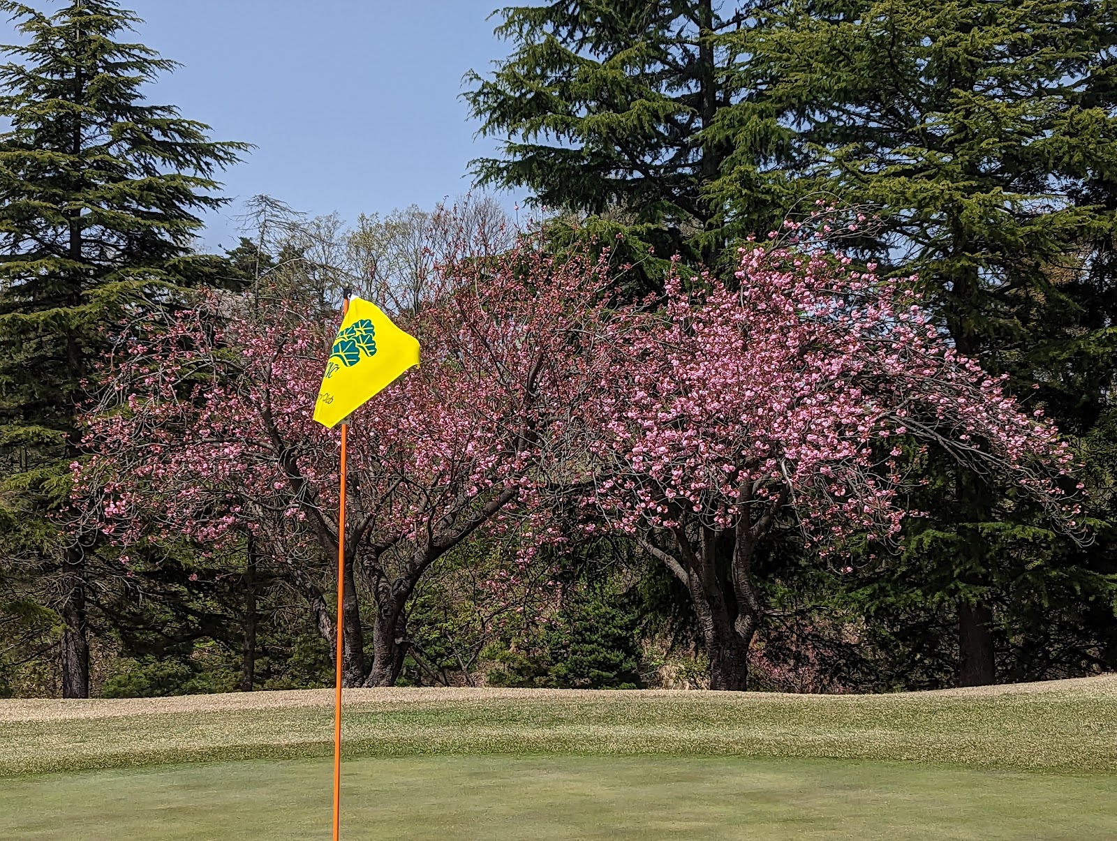 Niitsu Country Club - 2