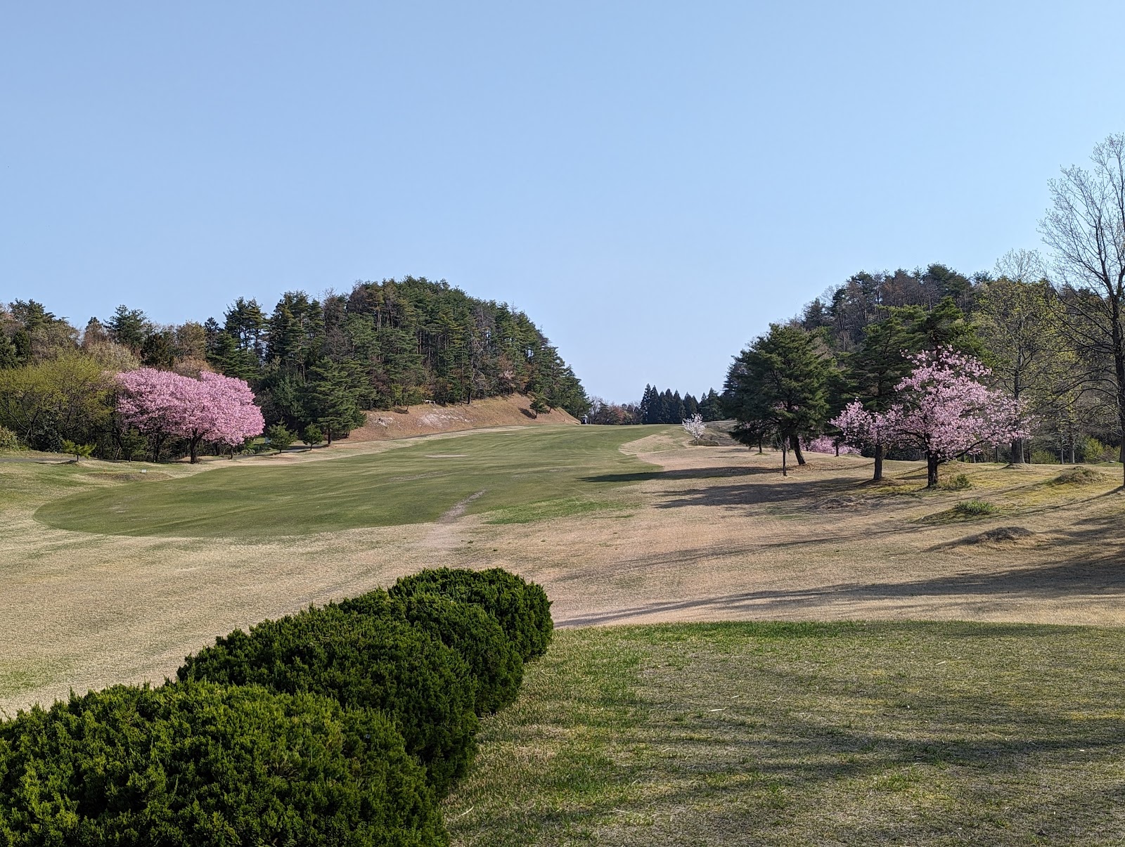 Niitsu Country Club - 3