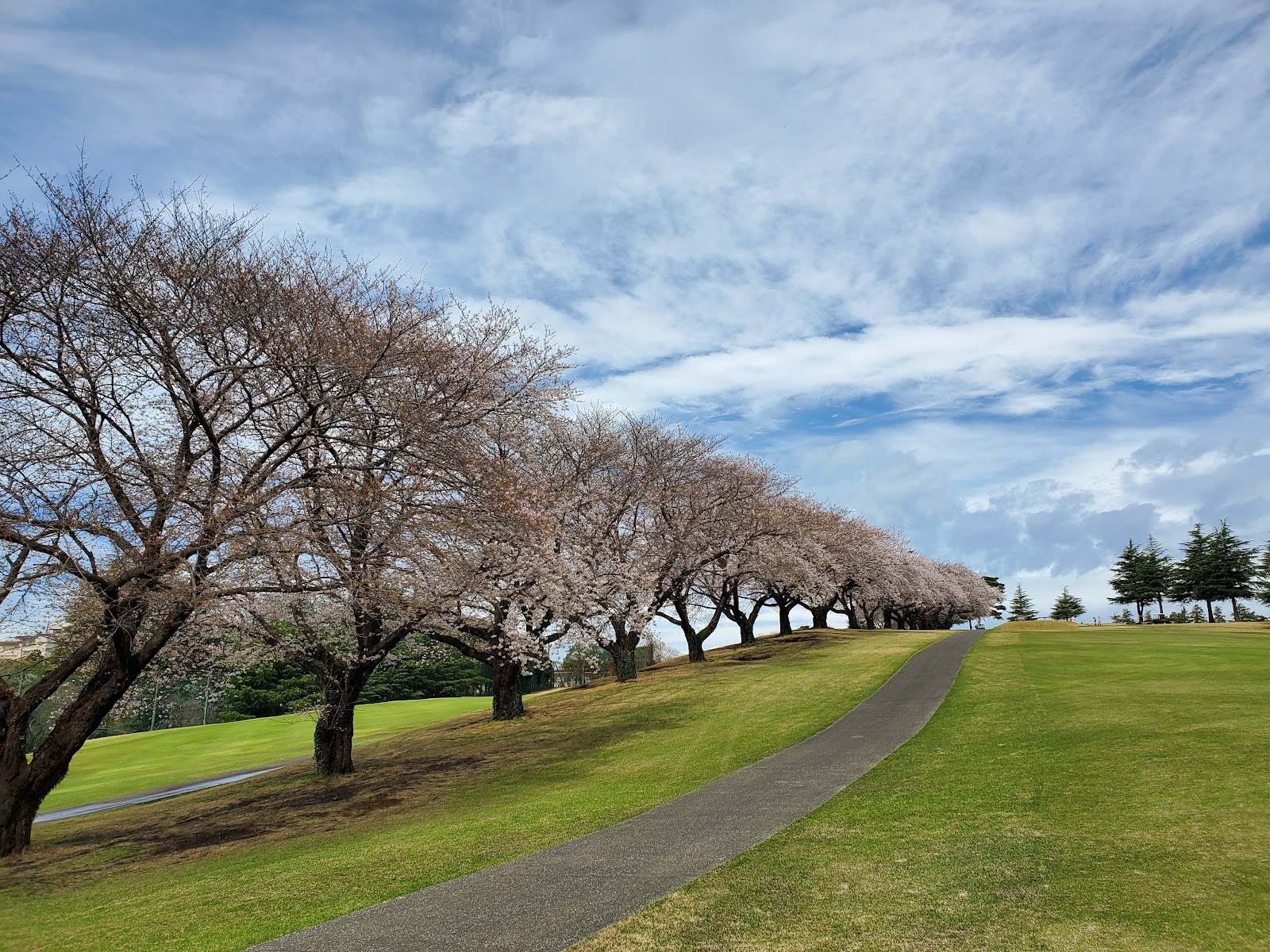Camp Zama Golf Course - 3