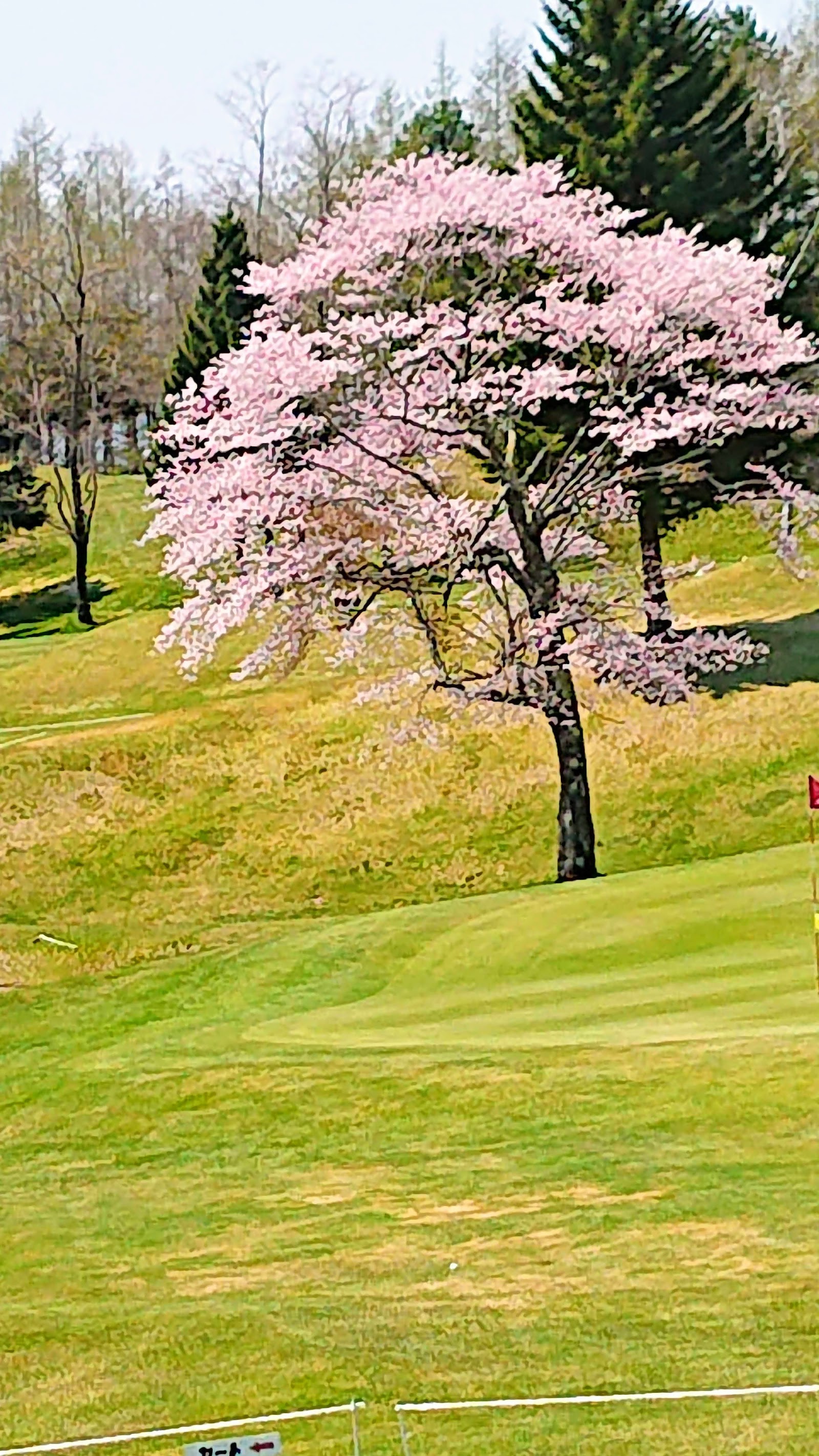 Obihiro Shirakaba Country Club - 5