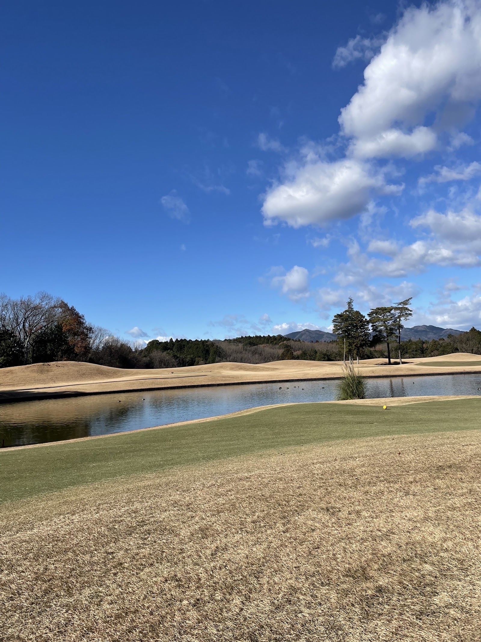 Summit Golf Club - 5