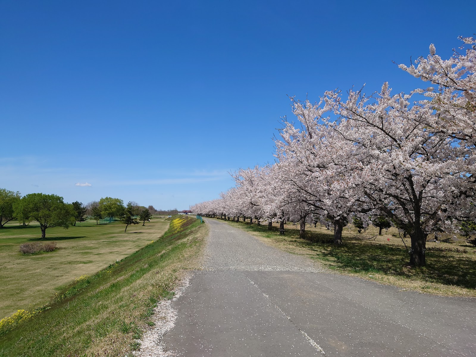 Iwakigawa Shimin Golf Course - 3