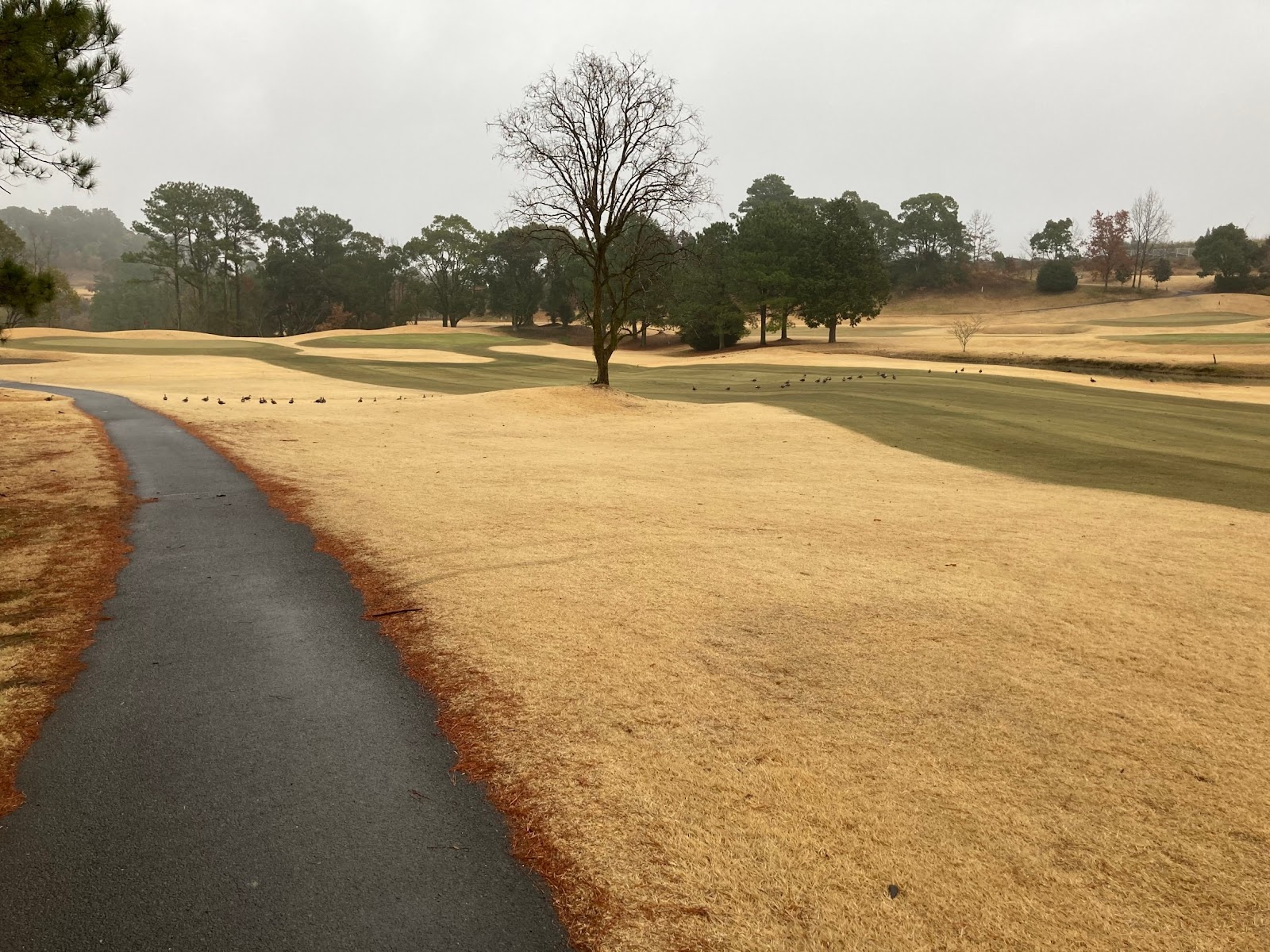 Miyazaki Golf Club - 2