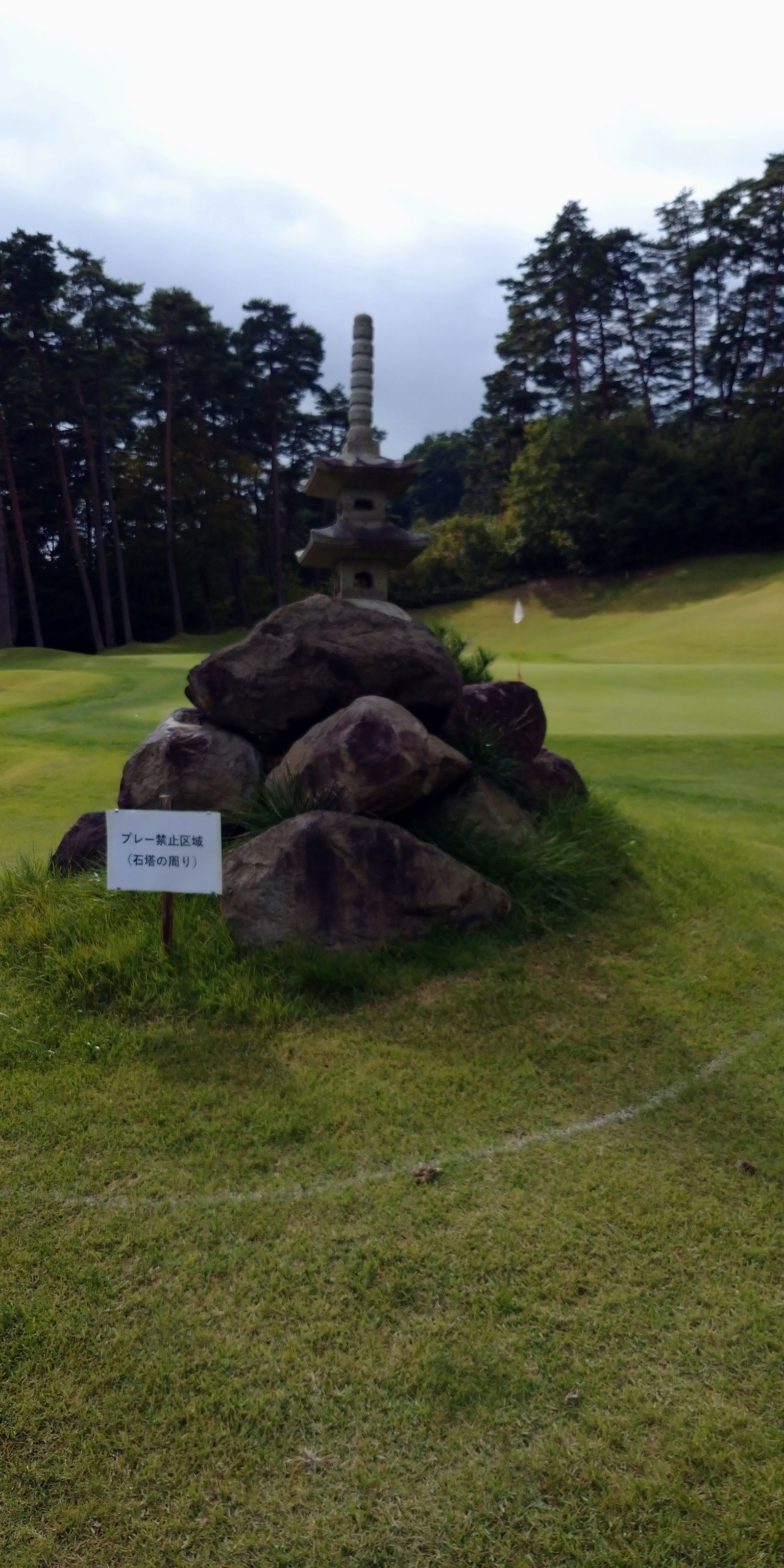 Rose Land Country Club - 6