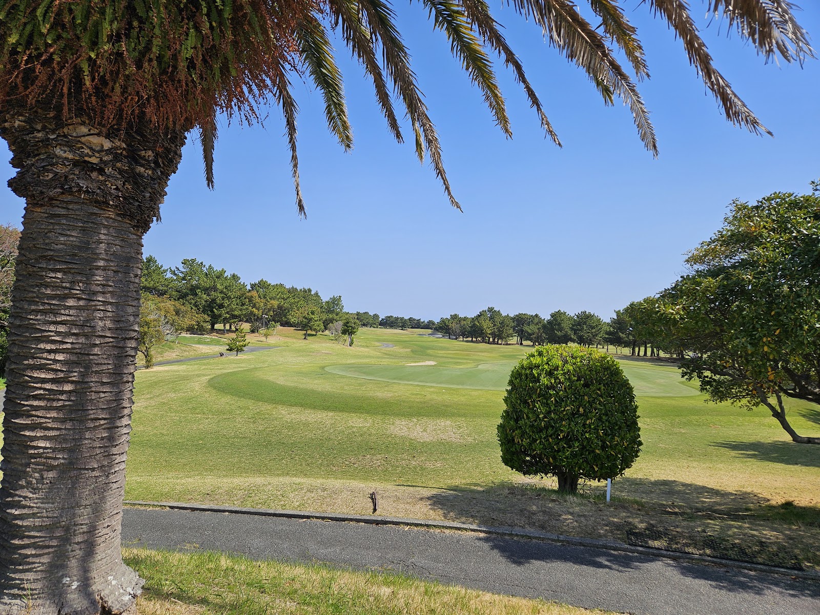 Court Bale Tokushima Golf Club