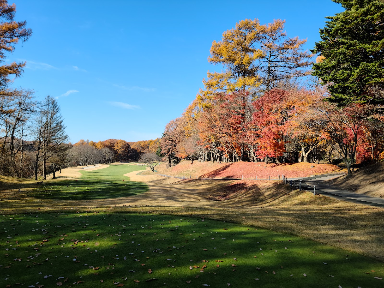 Nakakaruizawa Country Club - 3