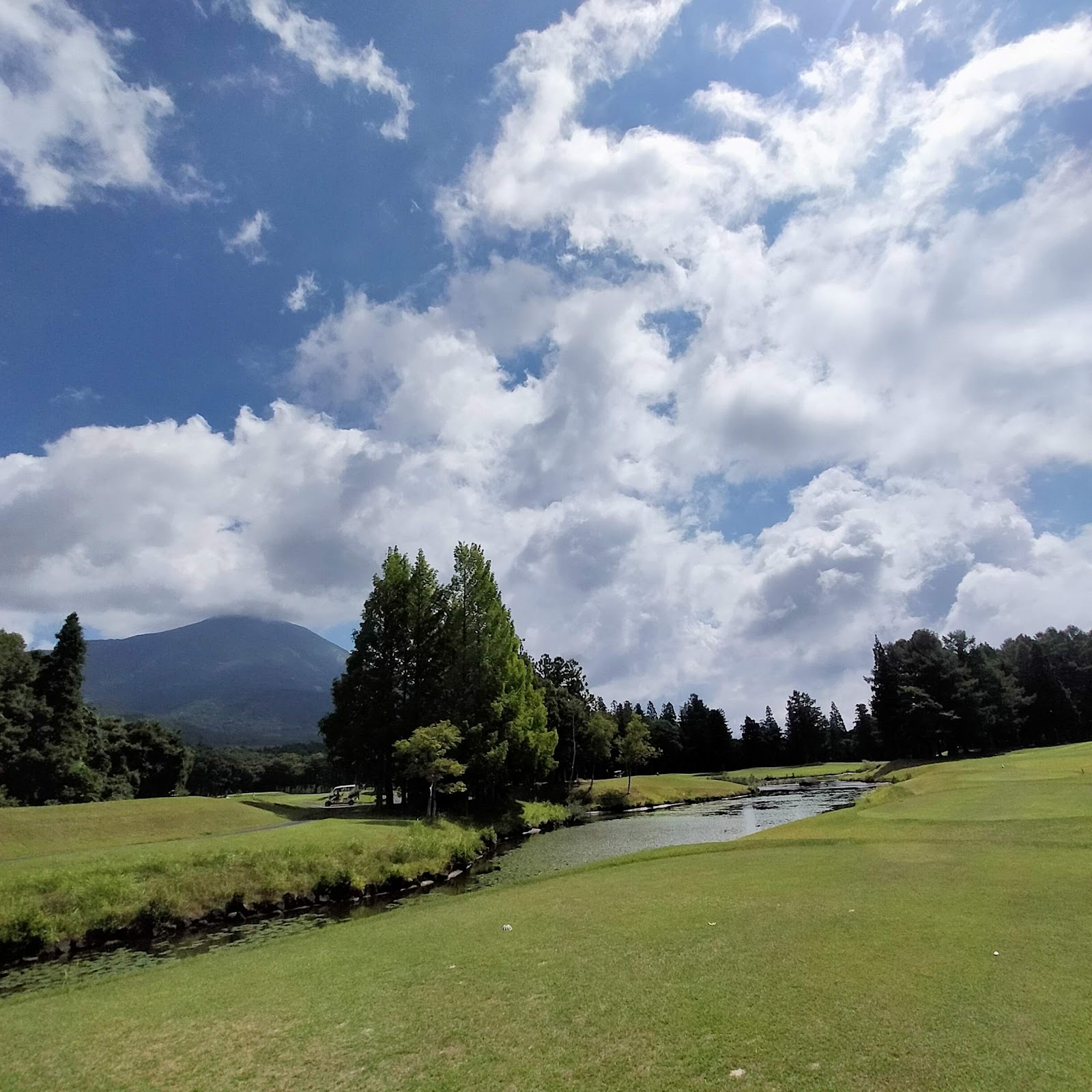 Hoshino Resorts Mellow Wood Golf Club - 6