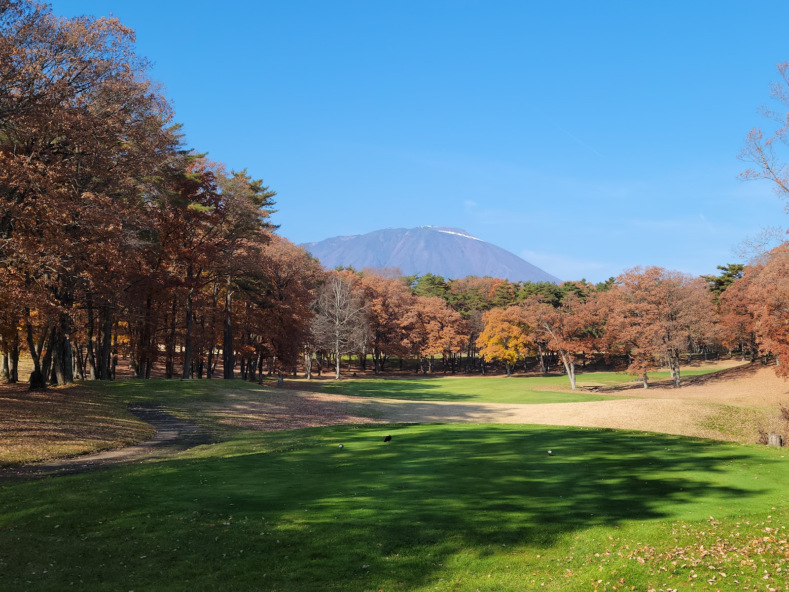 Maple Country Club - 3