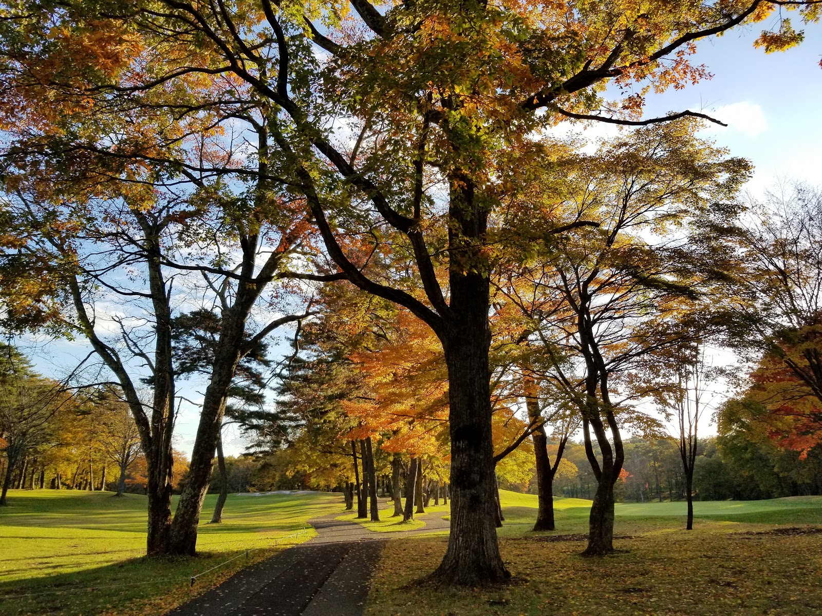 Maple Country Club - 6