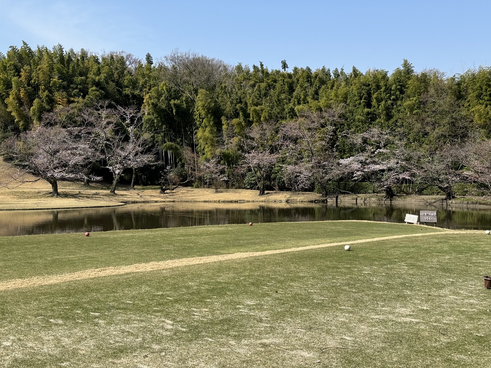 Aichi Country Club - 5