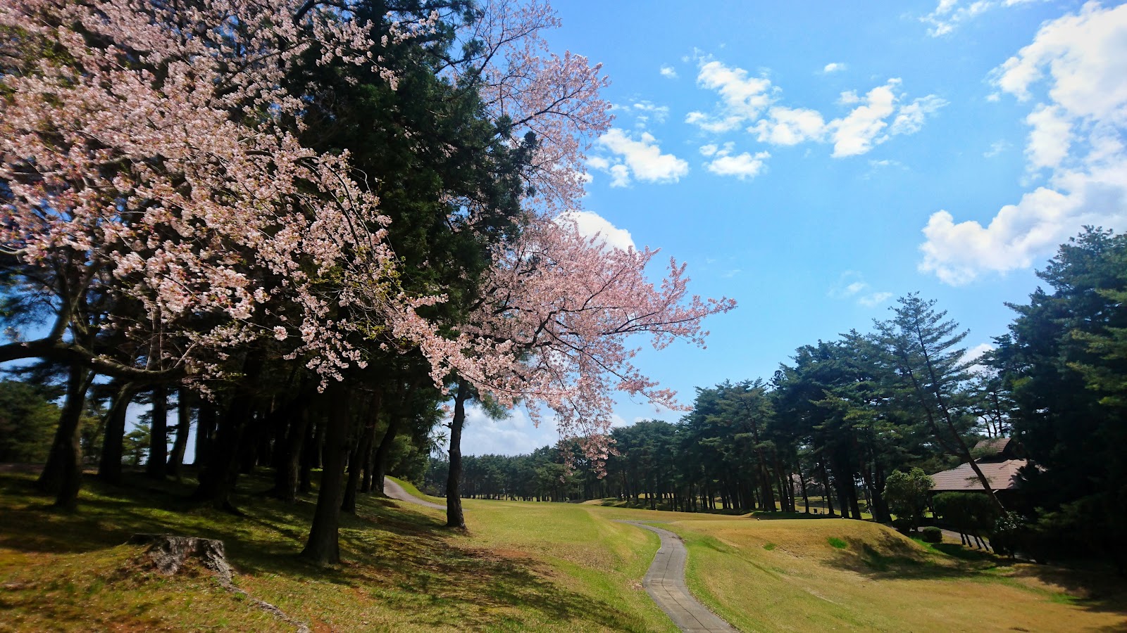 Niigata Golf Club - 3