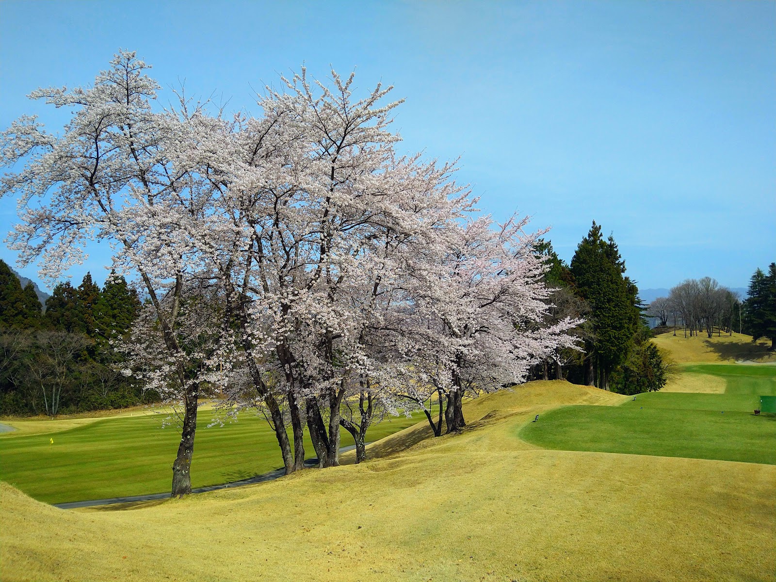 Myogi Country Club Golf - 5