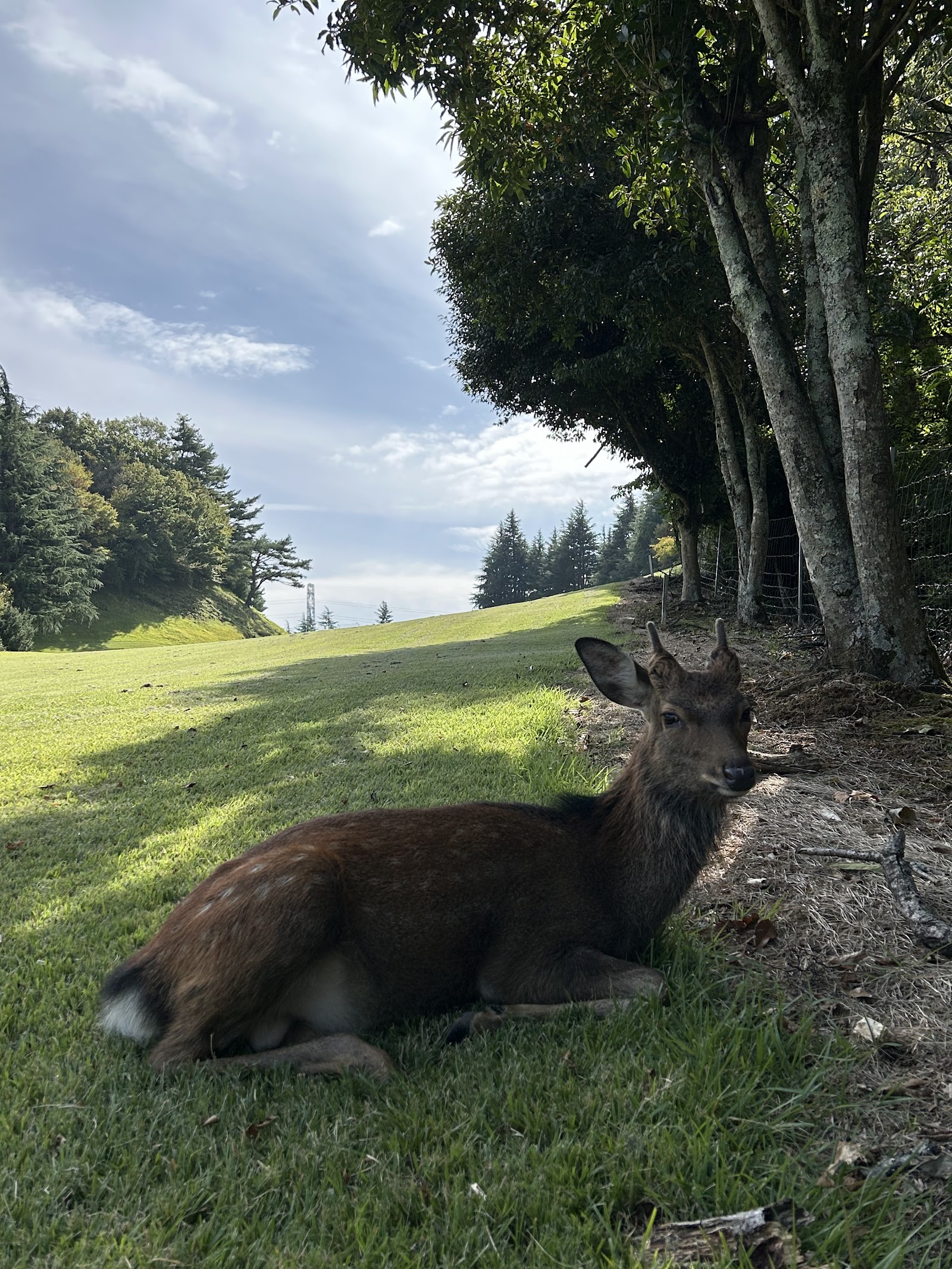 Odawara Golf Club, Matsuda Course - 4