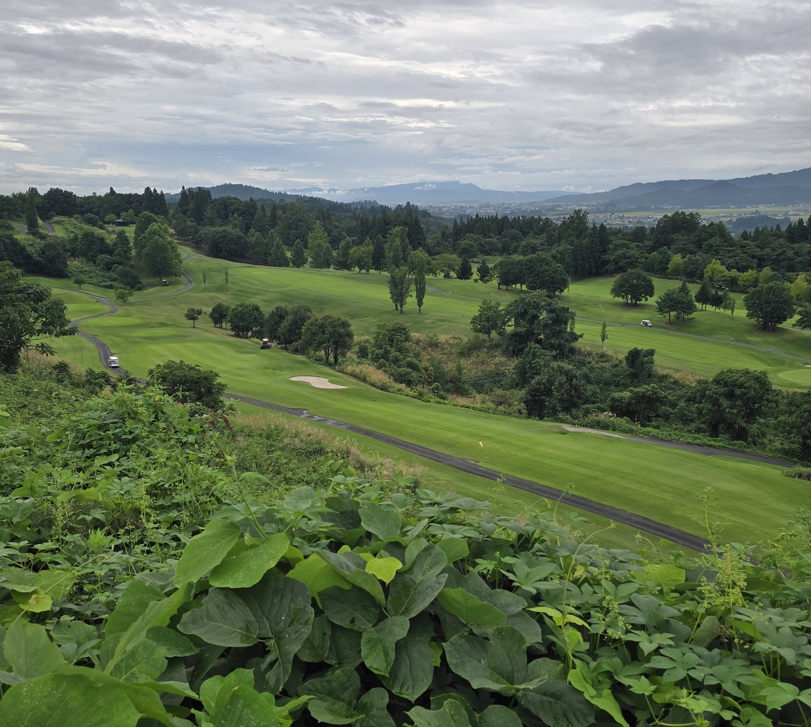 Sakuranbo Country Club - 6