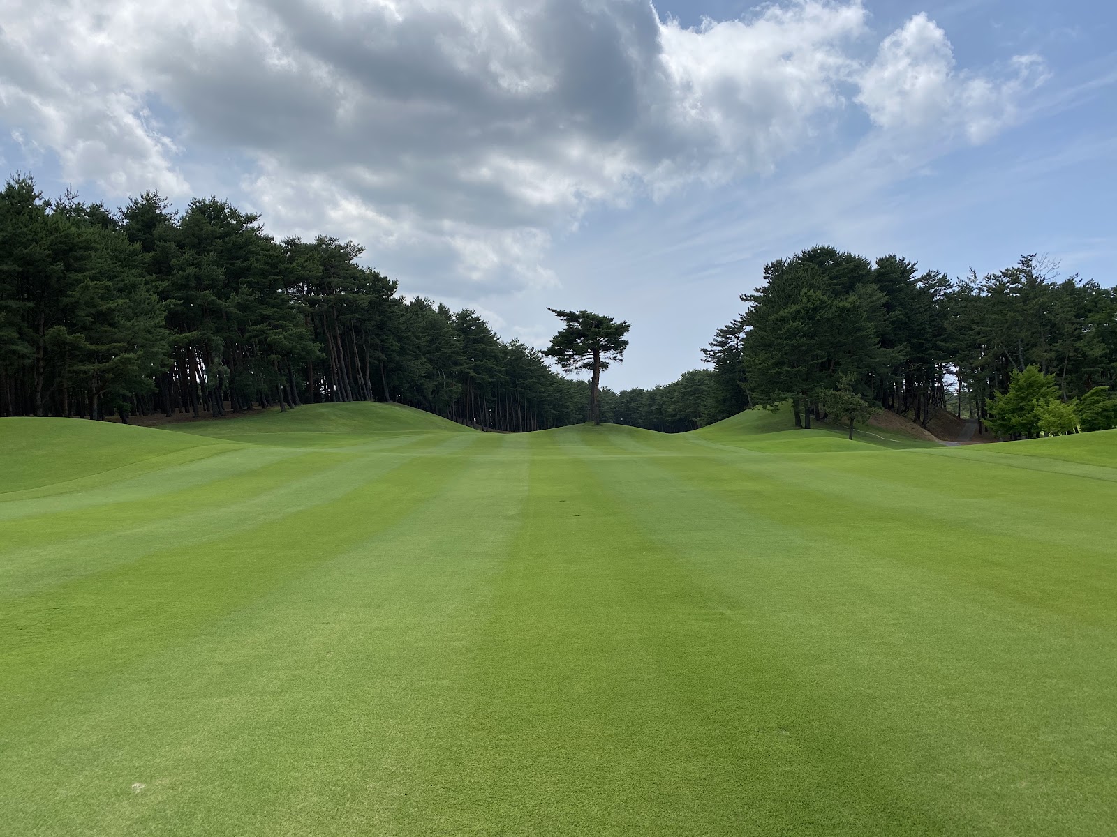 Nakajo Golf Club - 2