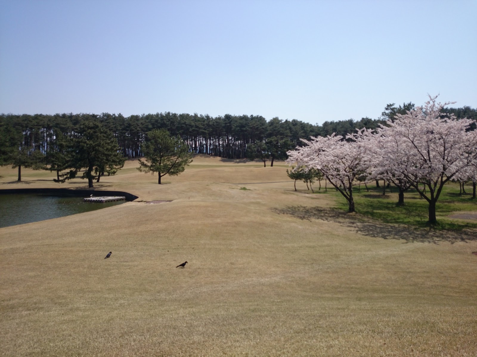 Nakajo Golf Club - 6