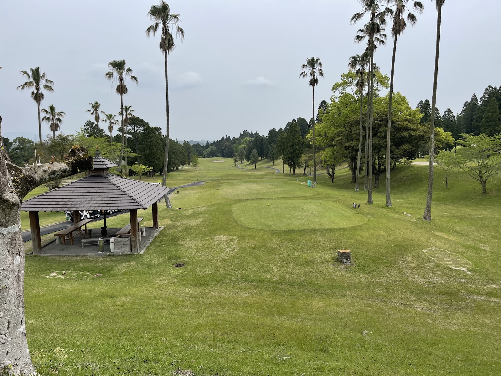Osumi Country Club Course - 3