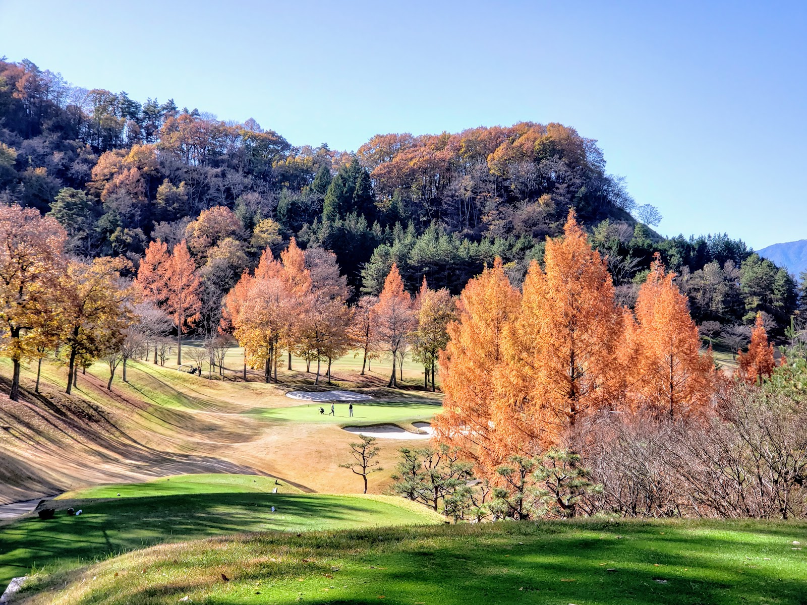 Miyako Golf Club - 2