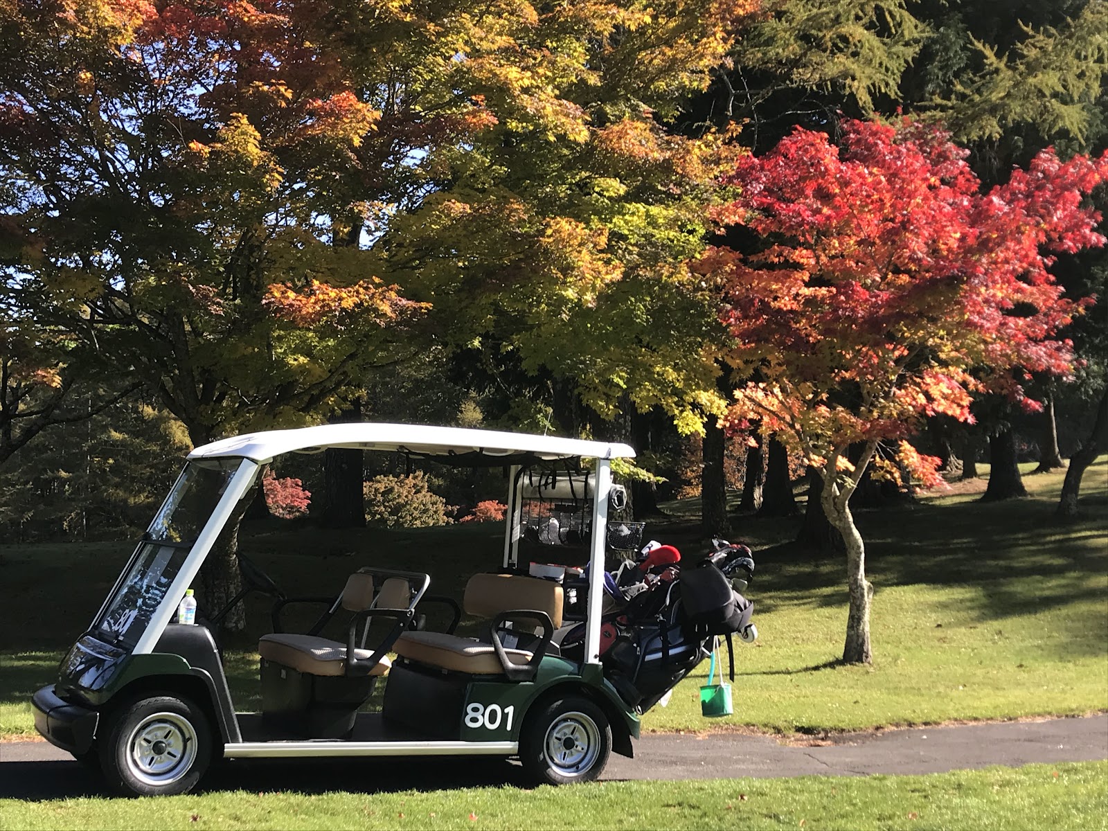 Mochizuki Tokyu Golf Club - 6